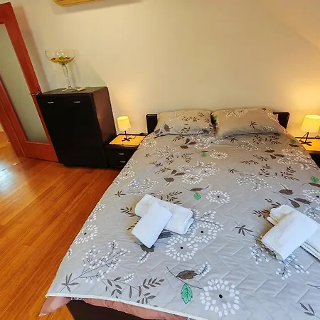 Modern Center - Rajiceva Loft *